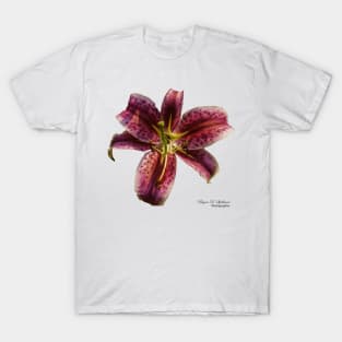 Stargazer Lily T-Shirt